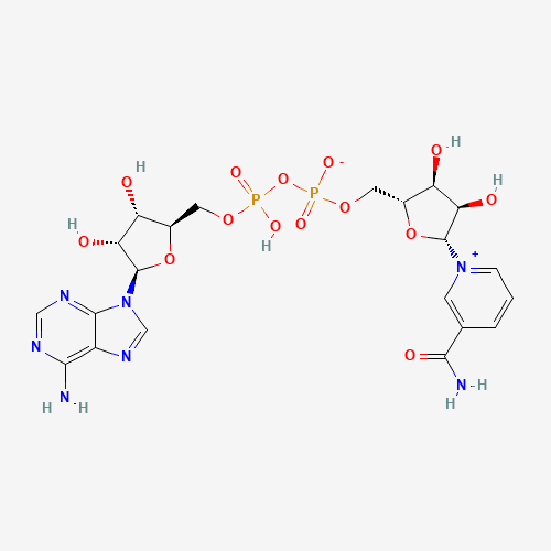2D molecular structure of NAD+, molecular formula C21H27N7O14P2